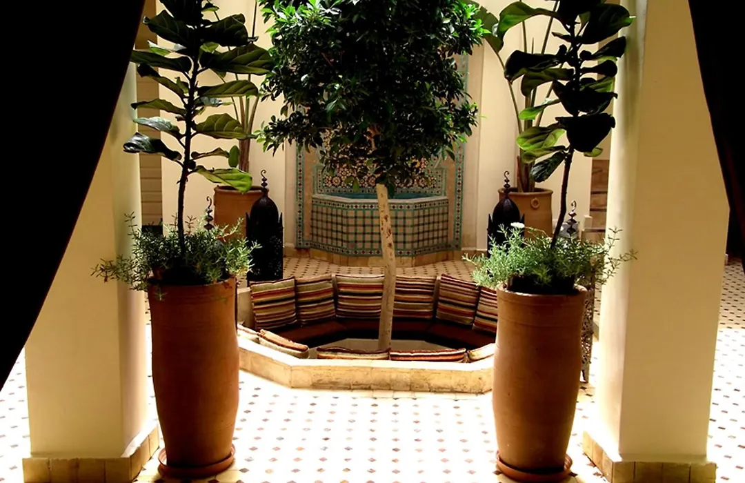 Riad Signature-1