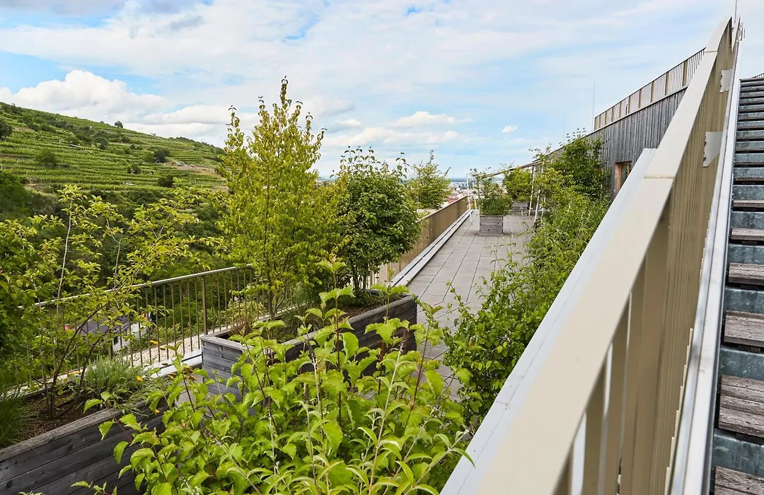 Steigenberger Hotel&Spa Krems-1