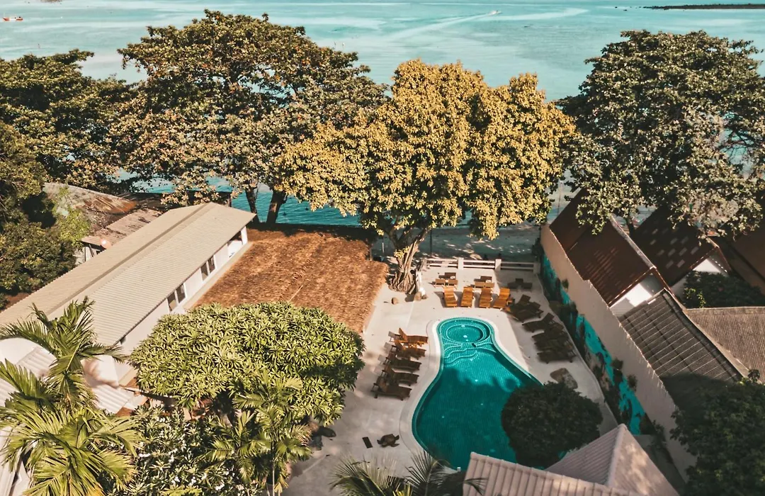 Blue Turtle Hotel Samui-1