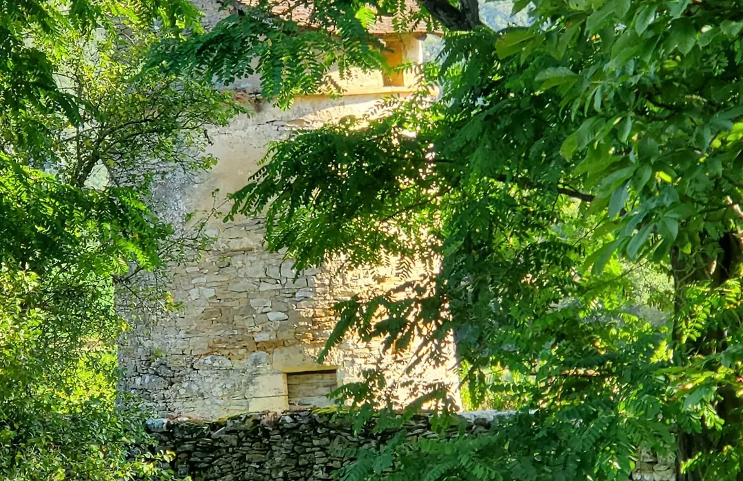 Mas De Garrigue-1