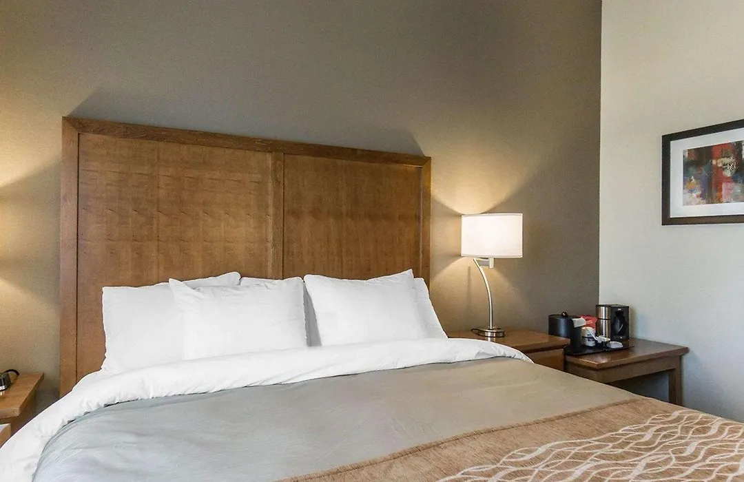 Comfort Inn & Suites Edmonton International Airport-1