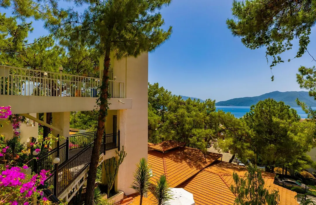 Isla Panorama-1