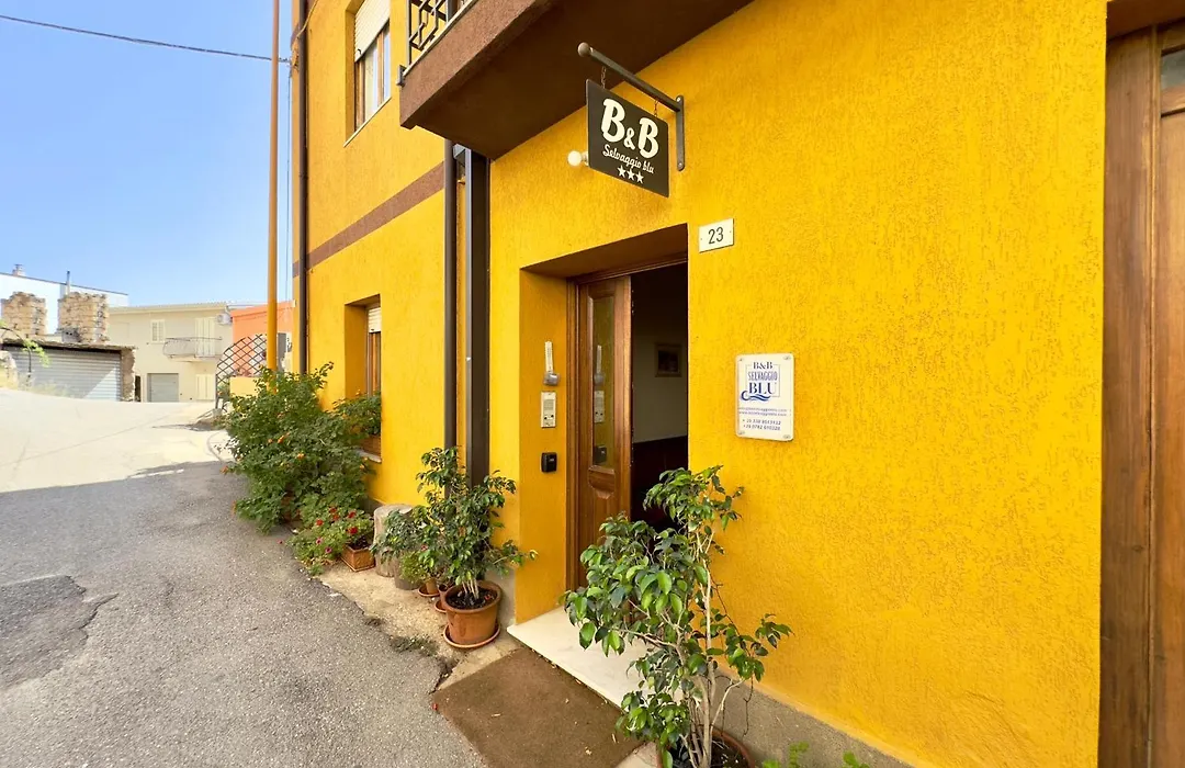 B&B Selvaggio Blu-1
