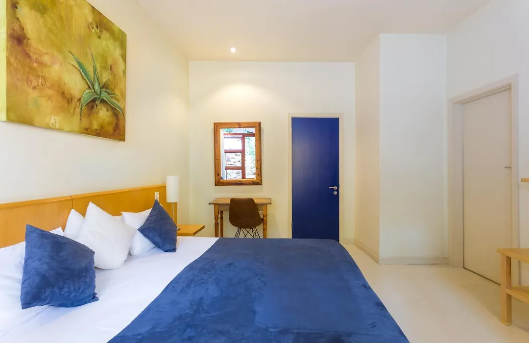 Lézard Bleu Guest House-1