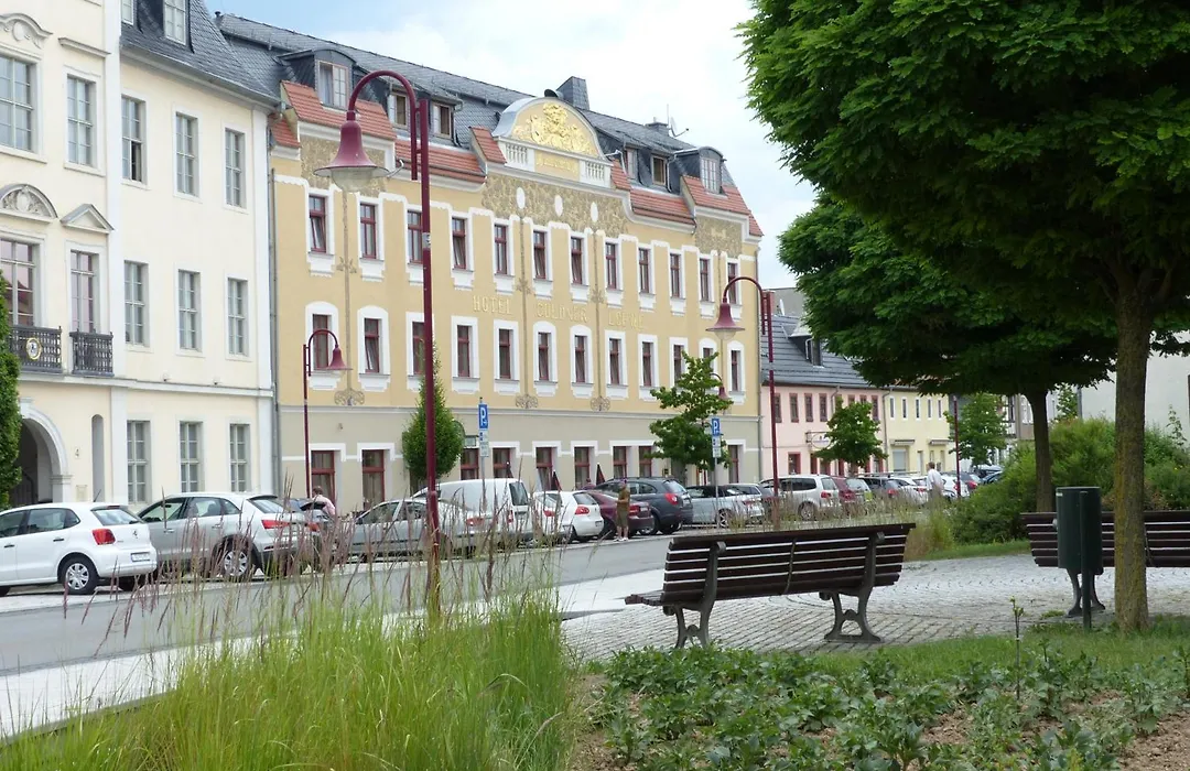 Hotel Goldner Loewe-1
