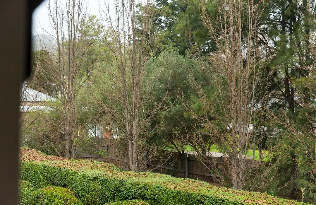 Springs Mittagong-1