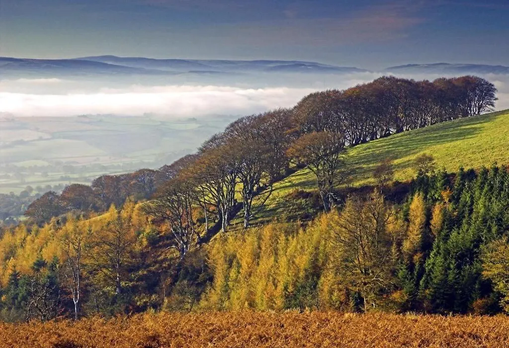 Notley Arms Inn Exmoor National Park-1