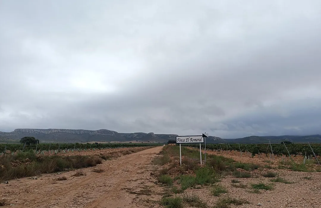 Finca El Romeral-1
