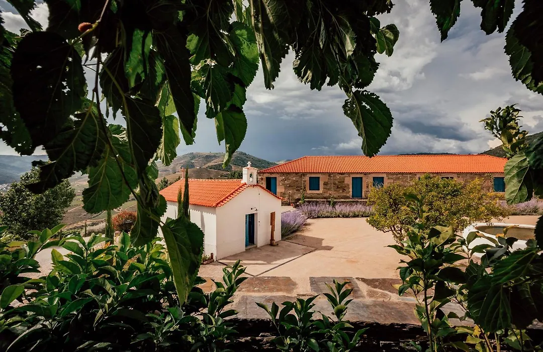 Ventozelo Hotel & Quinta-1