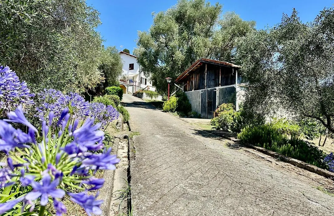 Agriturismo Uliveto Bartolomeo-1