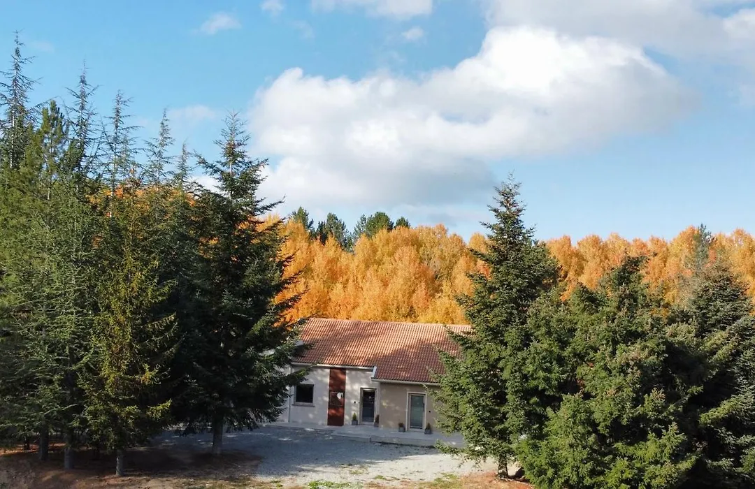 Villa dei Larici-1
