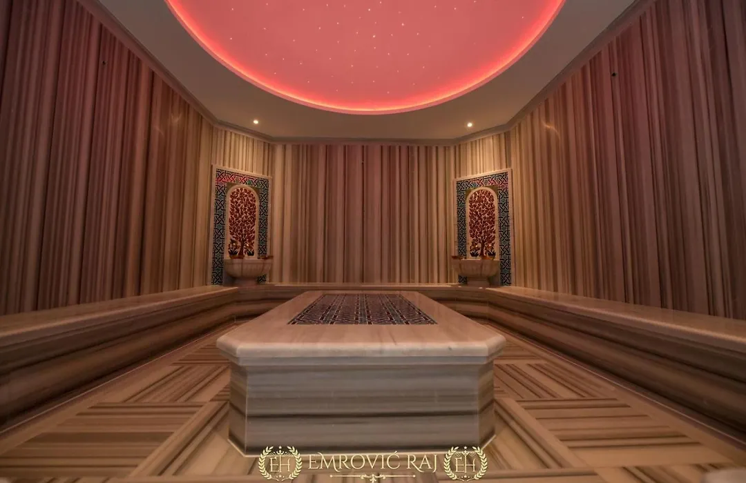 Hotel Emrovic Raj-1