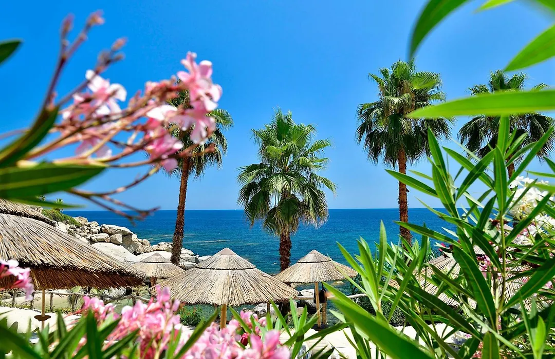 Arbatax Park Resort - Telis-1