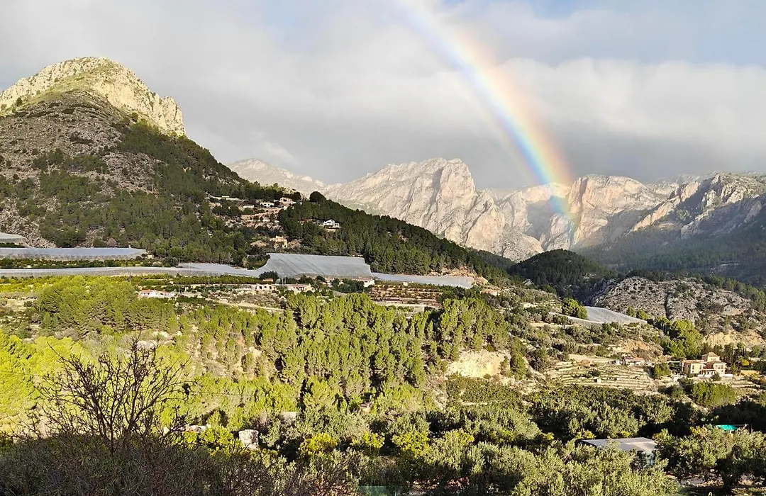 Finca Oliva-1