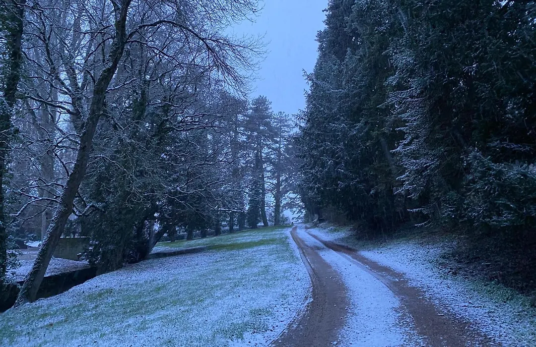 Le Domaine de Moroges-1