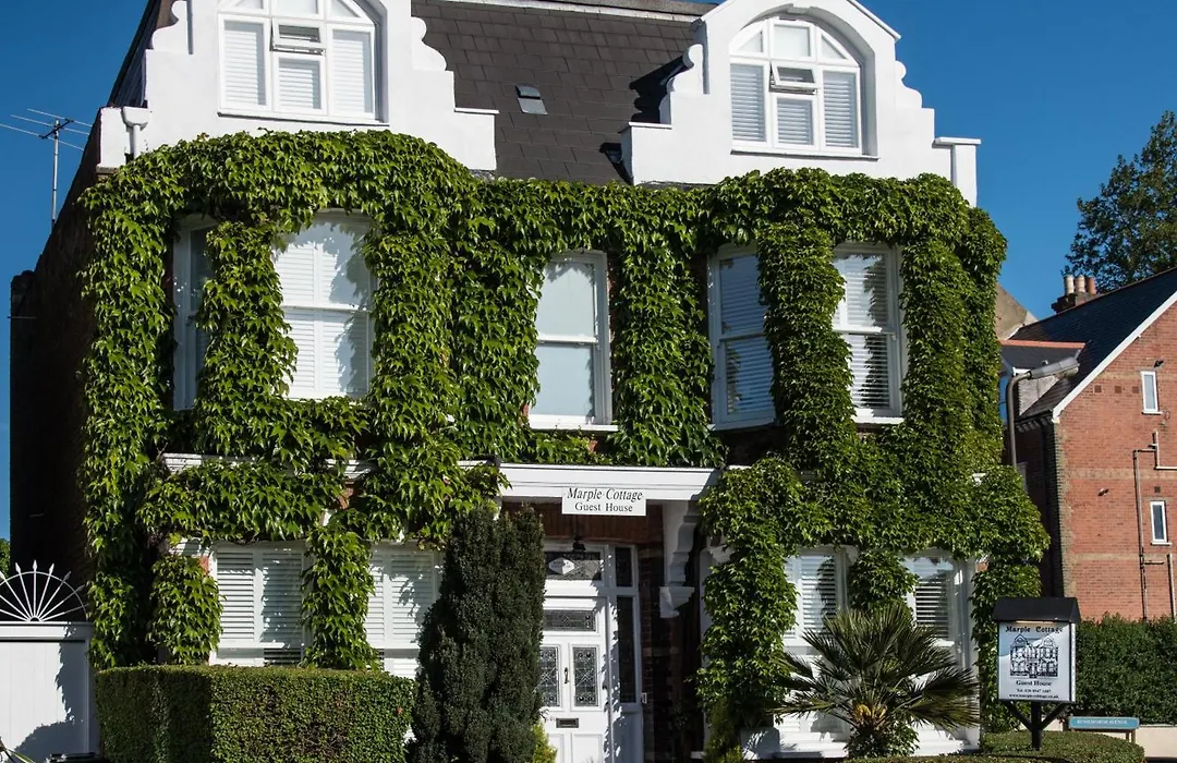 Marple Cottage Guest House-1