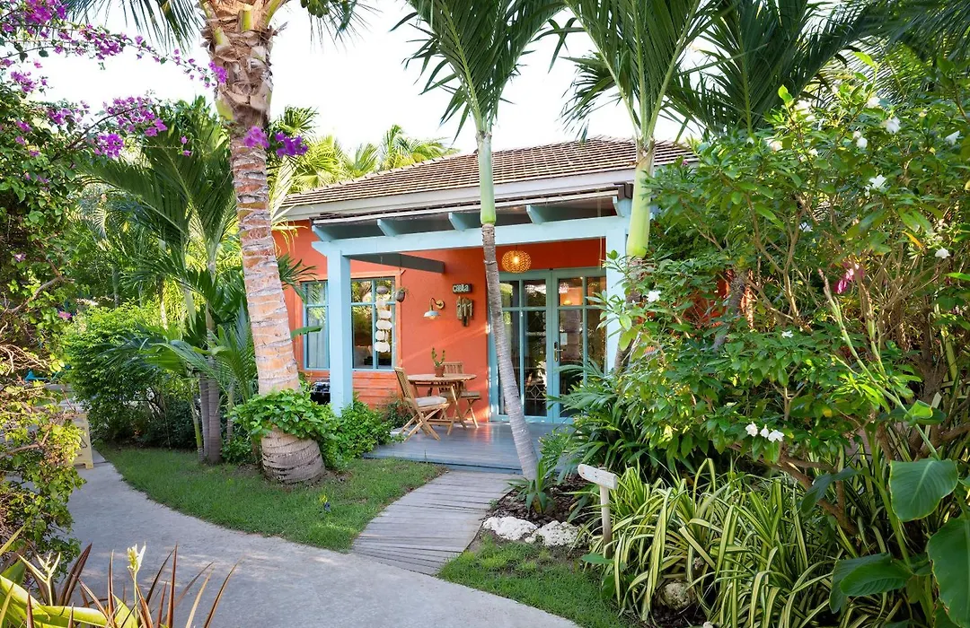 Boardwalk Boutique Hotel Aruba - Adults Only-1