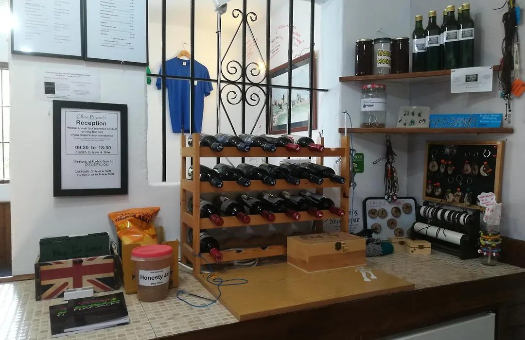 Olive Branch El Chorro-1