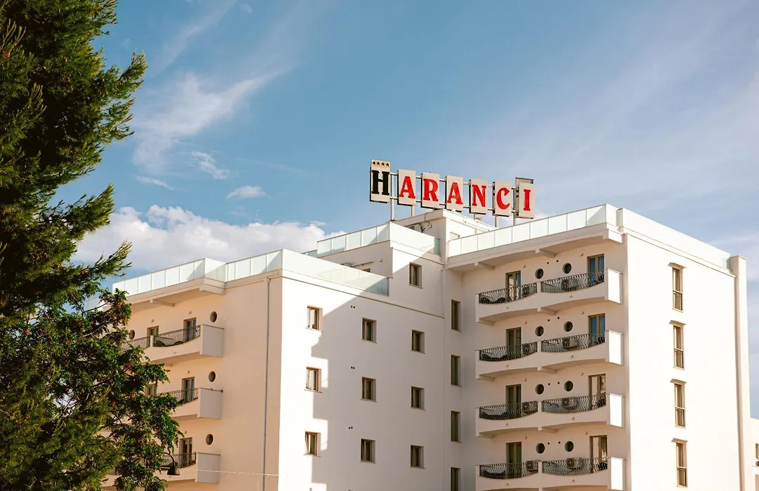 Hotel Degli Aranci-1