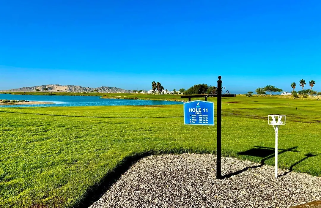 Sonoran Sea Resort Beachfront Condo E203-1