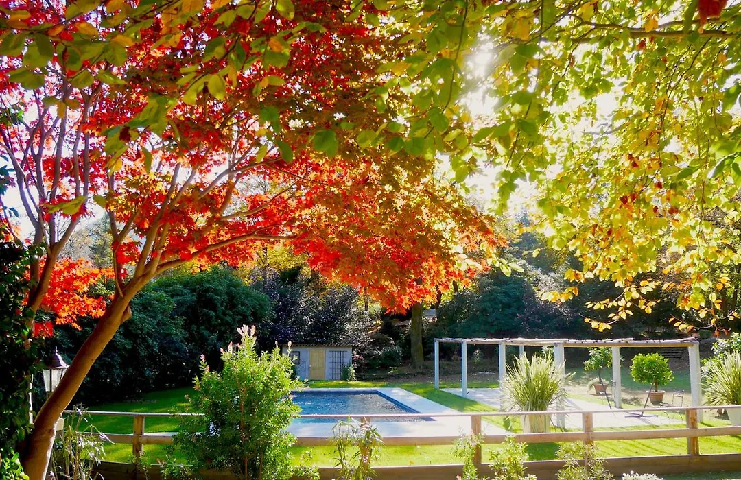 Eco-Resort Parco Botanico Fiorlago-1