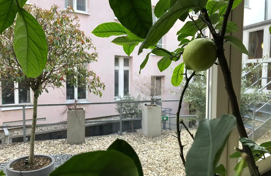 Kaiserhof-1