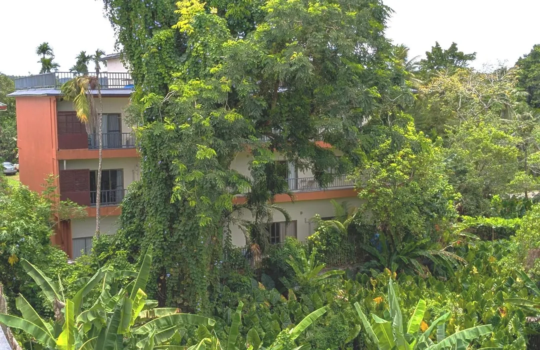 Garden Palace Downtown Koror-1