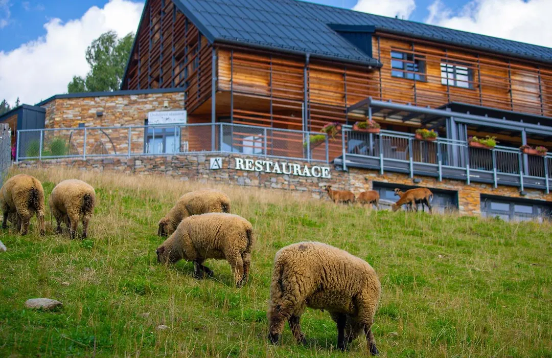 Amenity Hotel & Resort Spindleruv Mlyn-1