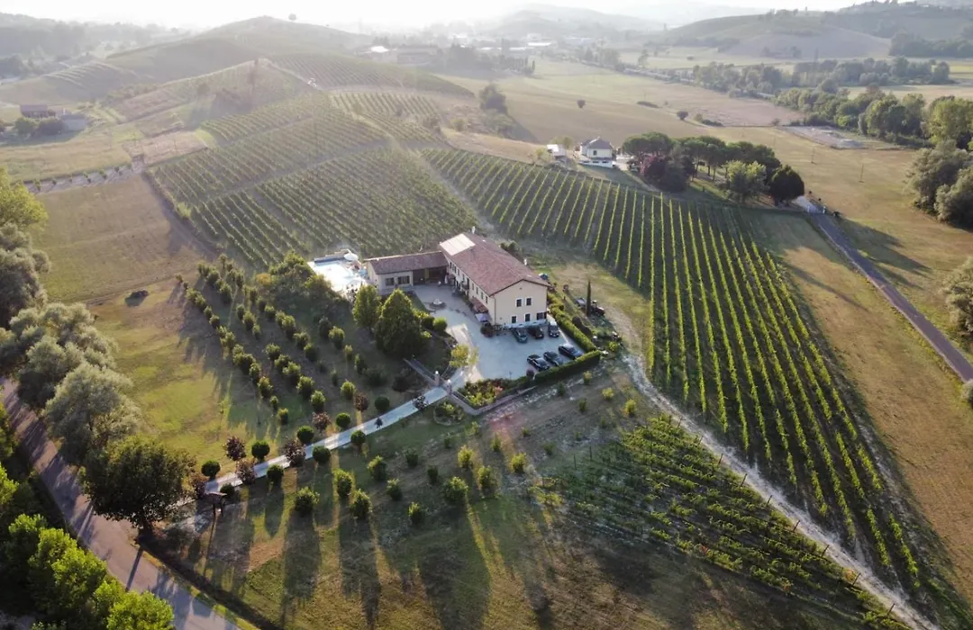 Villa Vigneto-1