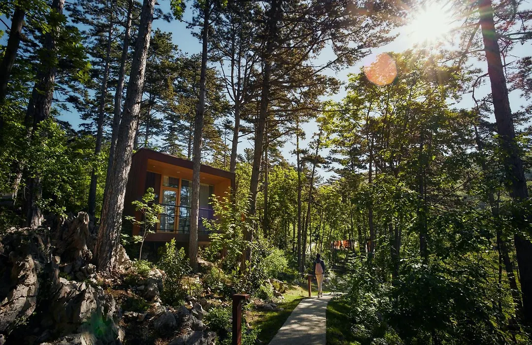 Theodosius Forest Village - Glamping in Vipava valley-1