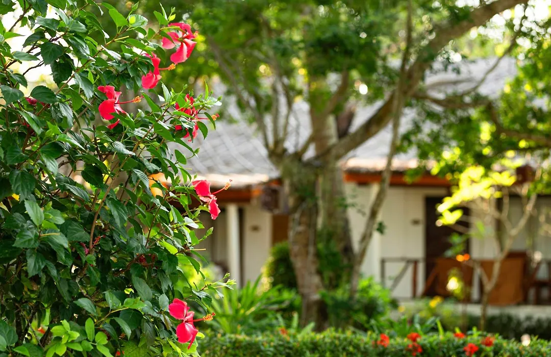 Lipa Lodge Beach Resort-1