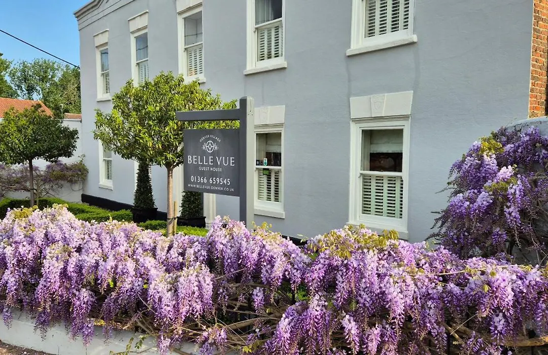 Belle Vue Guest House-1
