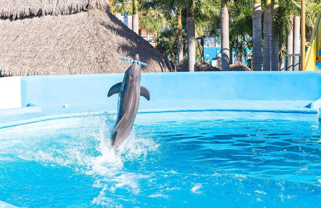 Splash Inn Nuevo Vallarta&Parque Acuatico-1