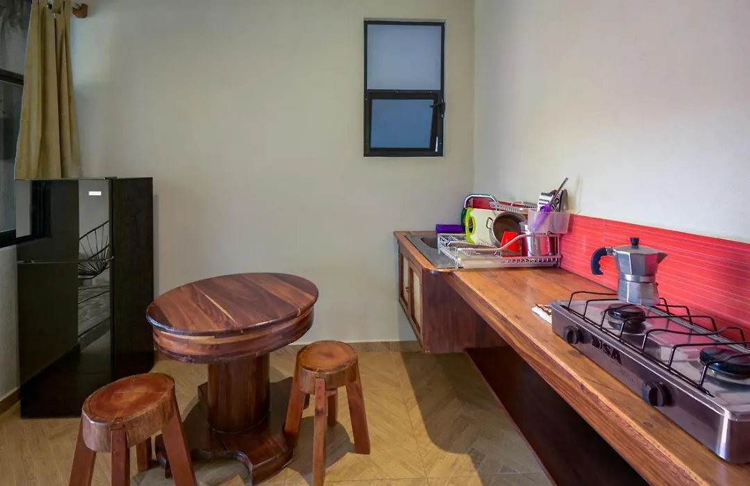 Coccoloba Guest House-1