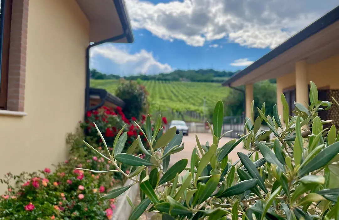 Vigneto - Italian Restaurant&B&B-1