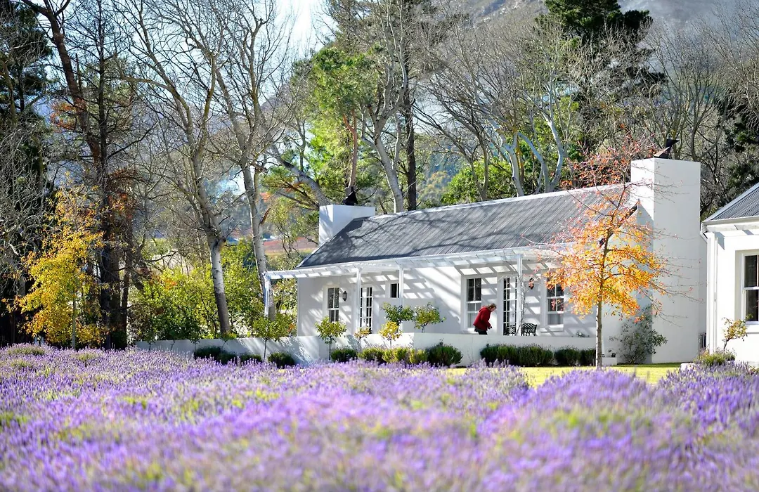 Lavender Farm Boutique Guest House-1