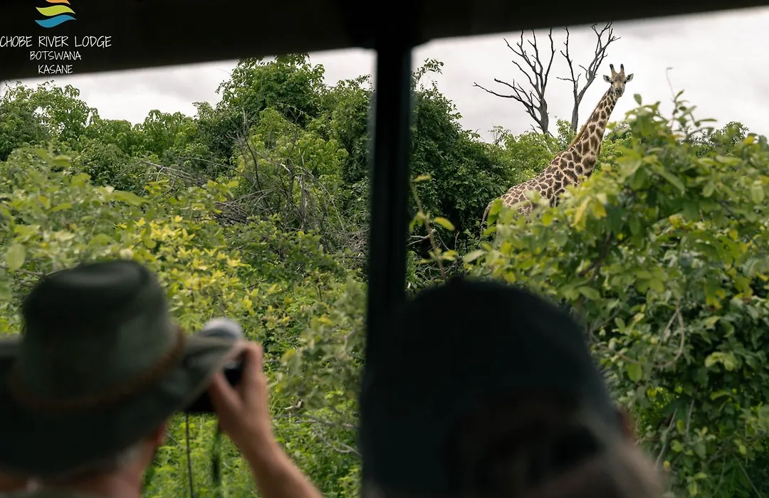 Chobe River Lodge-1