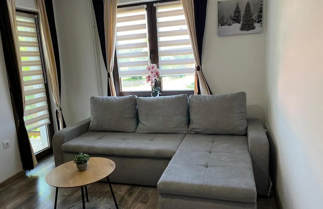 Studio Apartmani Patricia-1