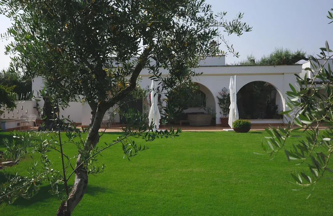 L'Ulivo Bed&Breakfast-1