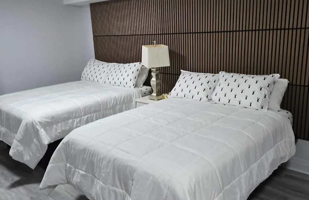 Cdqi Hotel-1