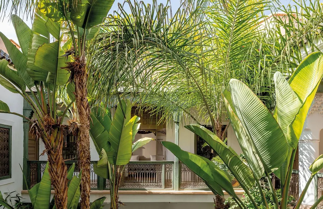 Riad Jaaneman-1