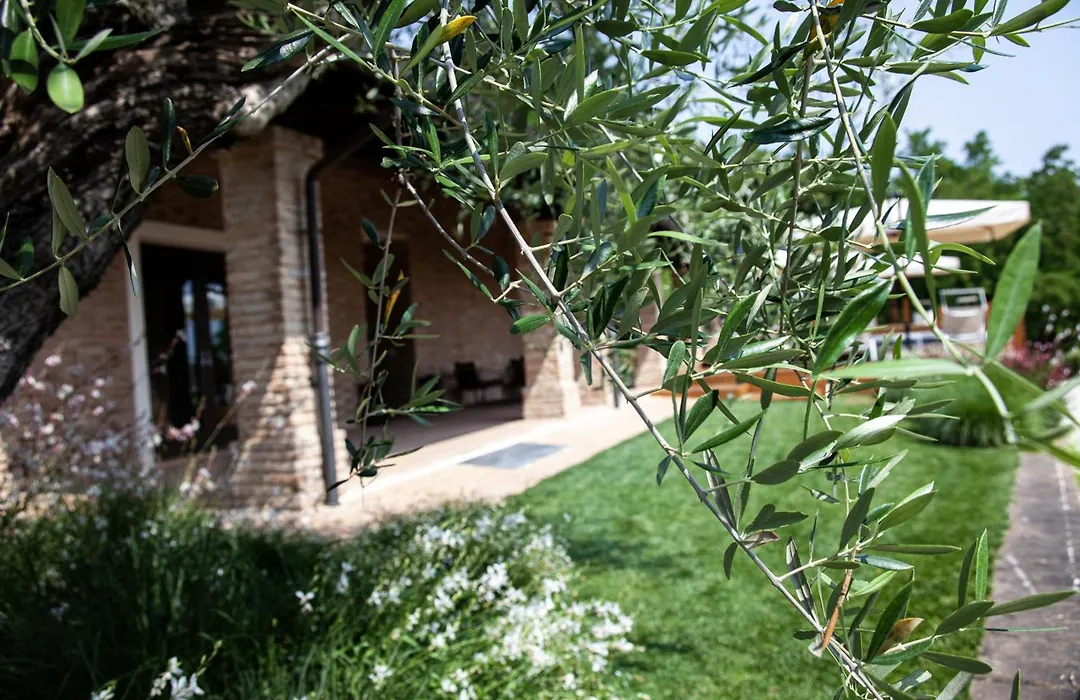 Resort Villa Paola-1