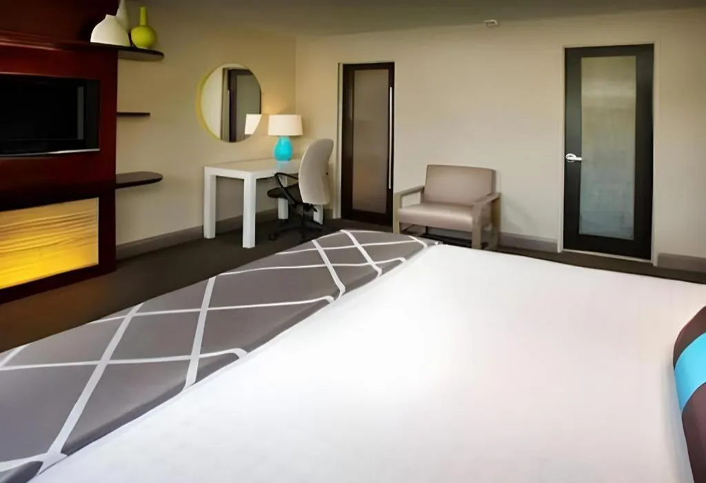 Disney'S Contemporary Resort-1