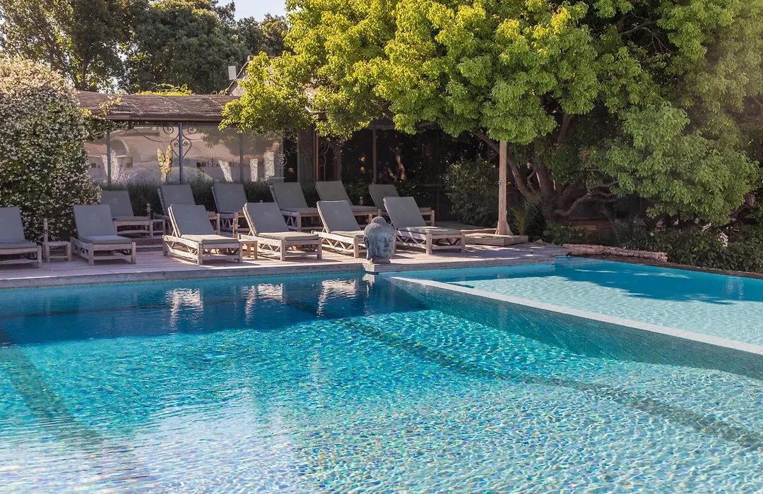 Hôtel Le Roi Théodore&Spa-1