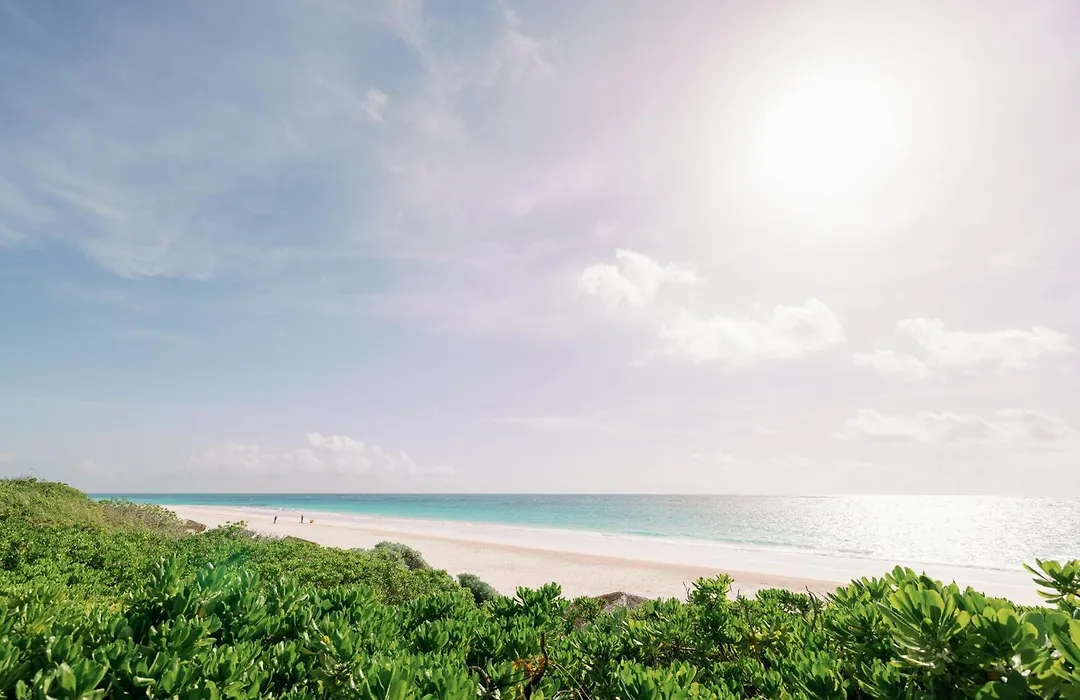 Pink Sands Resort-1
