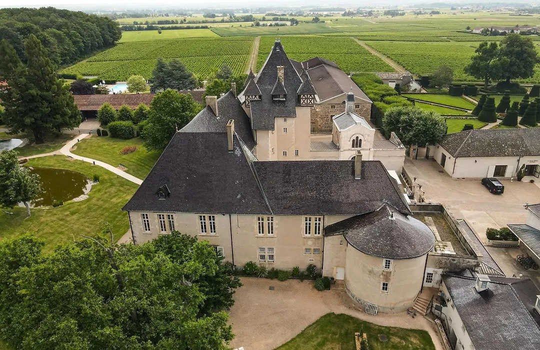 Chateau De Pizay-1