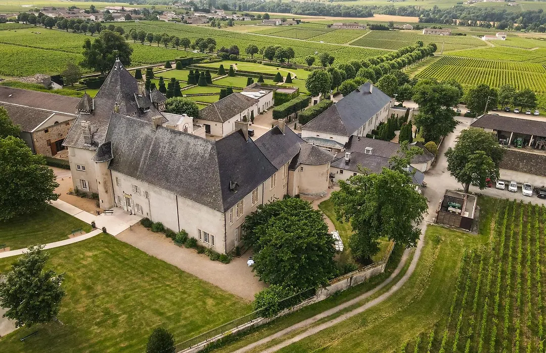 Chateau De Pizay-1