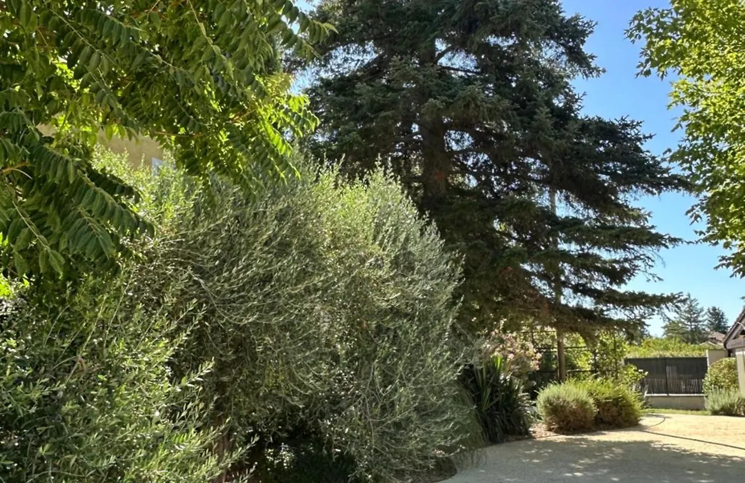 Le Mas de Mirabel-1