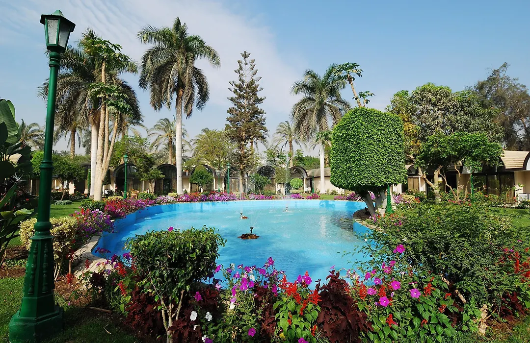 Jaz Pyramids Resort-1