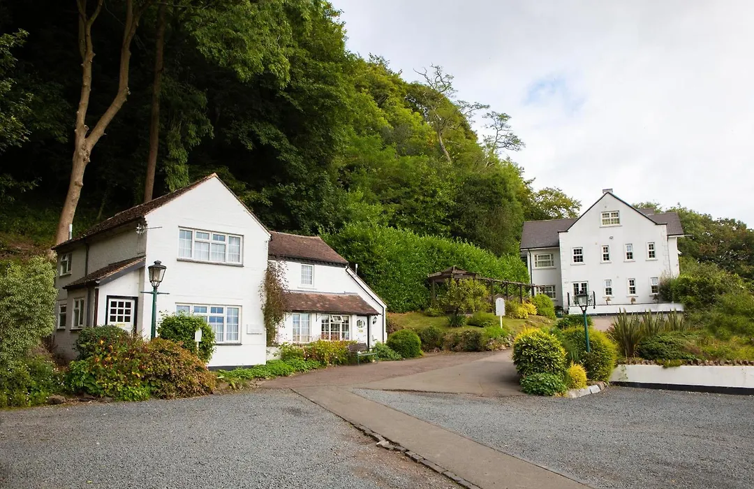 Cottage In The Wood-1